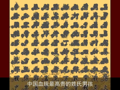 中国血统最高贵的姓氏男孩