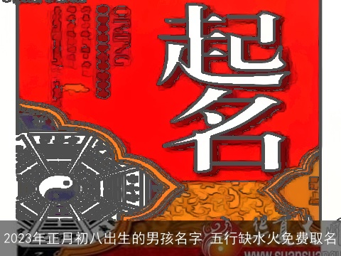 2023年正月初八出生的男孩名字 五行缺水火免费取名