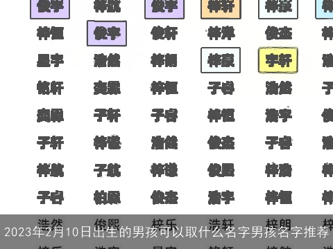 2023年2月10日出生的男孩可以取什么名字男孩名字推荐