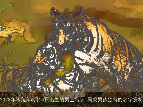 2023年水兔年6月15日出生的男宝名字 属虎男孩独特的名字赏析