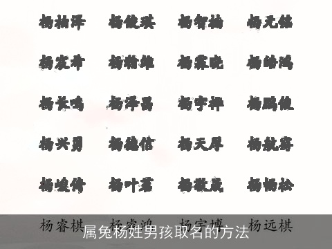 属兔杨姓男孩取名的方法