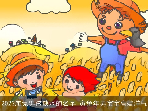 2023属兔男孩缺水的名字 寅兔年男宝宝高端洋气