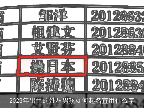 2023年出生的姓丛男孩如何起名宜用什么字