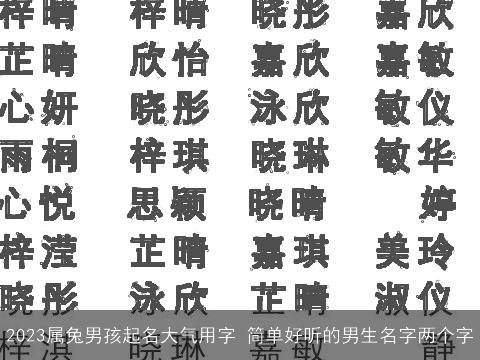 2023属兔男孩起名大气用字 简单好听的男生名字两个字