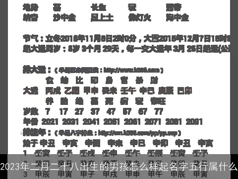 2023年二月二十八出生的男孩怎么样起名字五行属什么