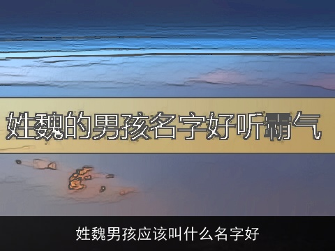 姓魏男孩应该叫什么名字好