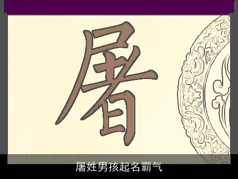 屠姓男孩起名霸气