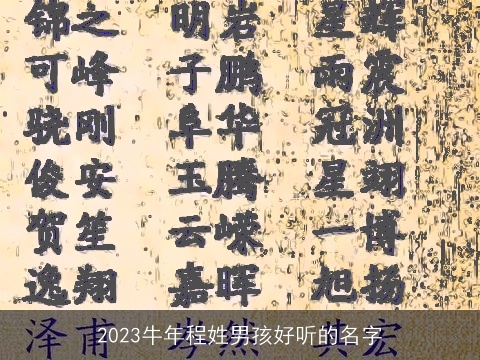 2023牛年程姓男孩好听的名字