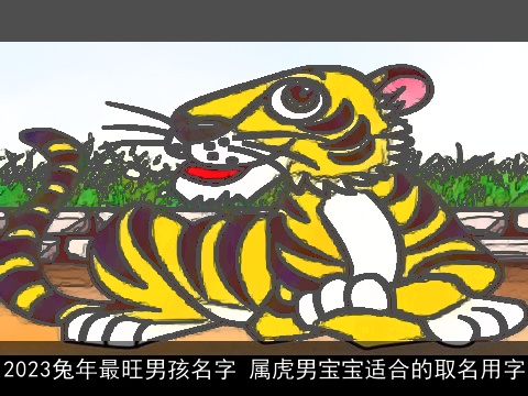 2023兔年最旺男孩名字 属虎男宝宝适合的取名用字