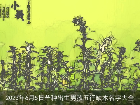 2023年6月5日芒种出生男孩五行缺木名字大全