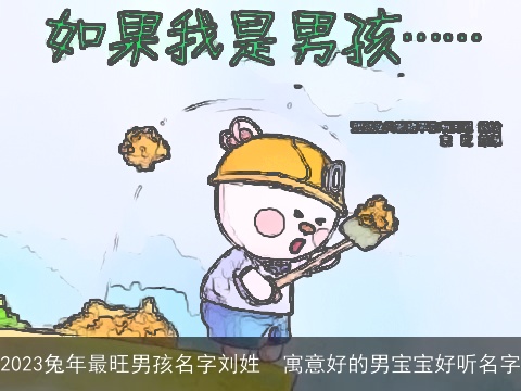 2023兔年最旺男孩名字刘姓  寓意好的男宝宝好听名字