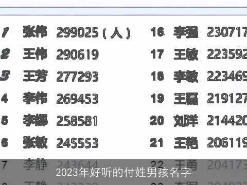 2023年好听的付姓男孩名字