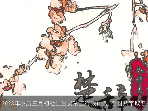 2023年农历三月初七出生男孩五行缺什么 今日八字取名