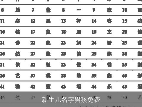 新生儿名字男孩免费