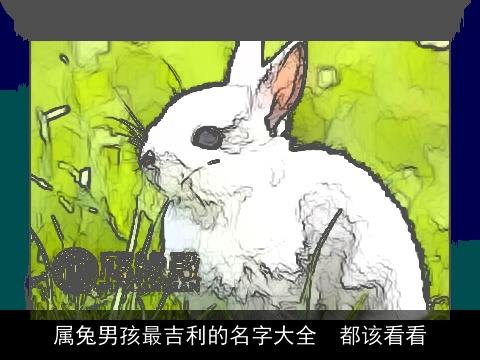 属龙男孩最吉利的名字大全  都该看看