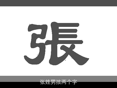 张姓男孩两个字