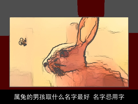 属龙的男孩取什么名字最好 名字忌用字