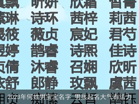 2023年何姓男宝宝名字 男孩起名大气有活力