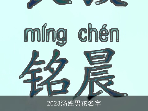 2023汤姓男孩名字