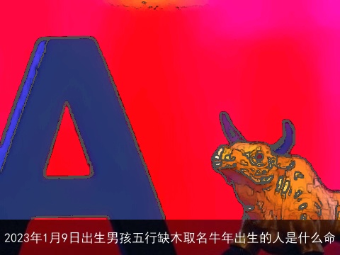 2023年1月9日出生男孩五行缺木取名牛年出生的人是什么命
