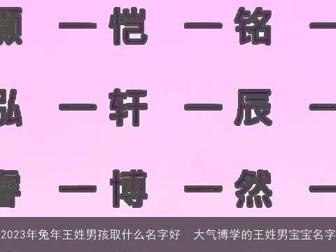 2023年龙年王姓男孩取什么名字好  大气博学的王姓男宝宝名字