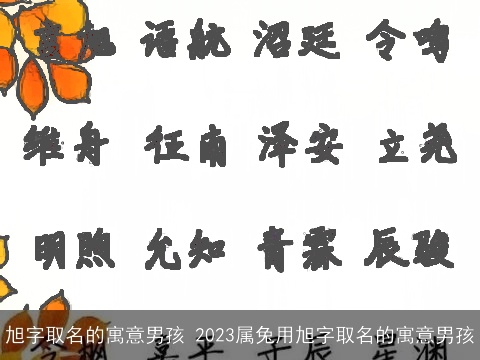 旭字取名的寓意男孩 2023属兔用旭字取名的寓意男孩