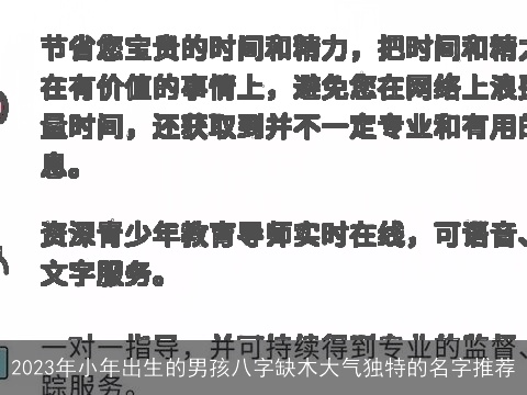 2023年小年出生的男孩八字缺木大气独特的名字推荐