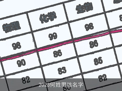 2023何姓男孩名字
