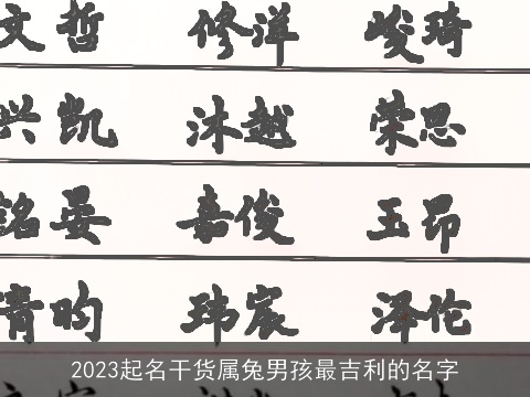 2023起名干货属兔男孩最吉利的名字