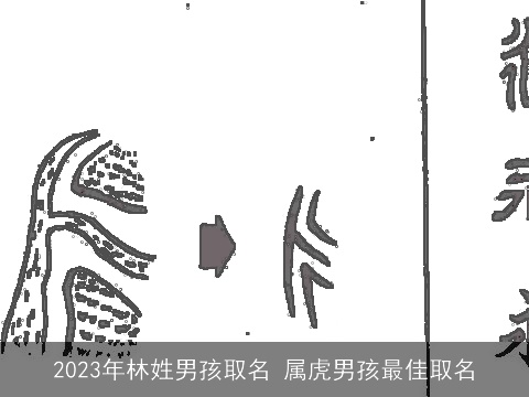 2023年林姓男孩取名 属龙男孩最佳取名