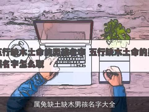 属兔缺土缺木男孩名字大全