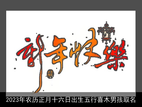 2023年农历正月十六日出生五行喜木男孩取名