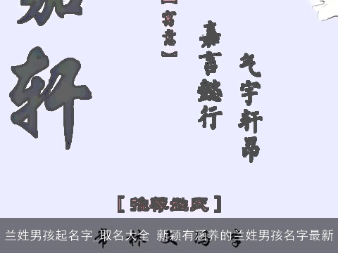 兰姓男孩起名字_取名大全 新颖有涵养的兰姓男孩名字最新