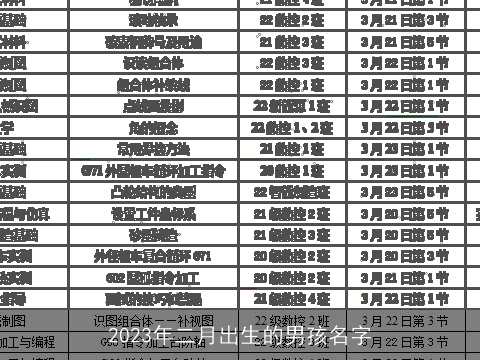 2023年二月出生的男孩名字