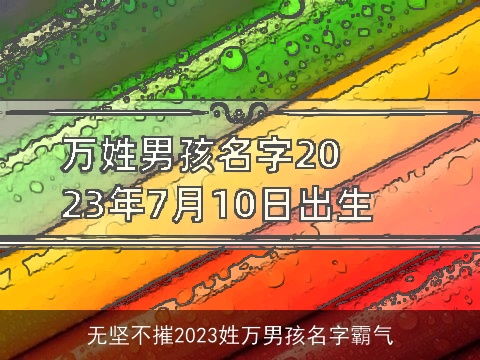无坚不摧2023姓万男孩名字霸气