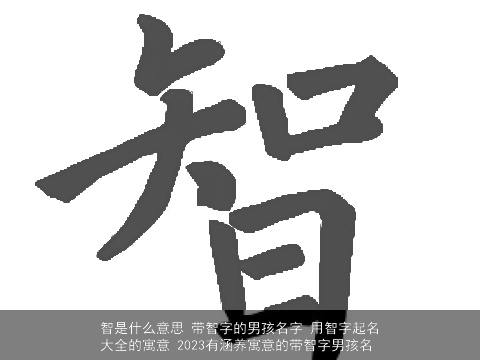 智是什么意思 带智字的男孩名字 用智字起名大全的寓意 2023有涵养寓意的带智字男孩名