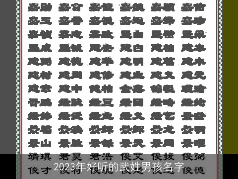 2023年好听的武姓男孩名字