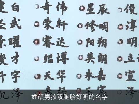 姓颜男孩双胞胎好听的名字