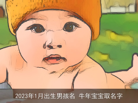 2023年1月出生男孩名 牛年宝宝取名字