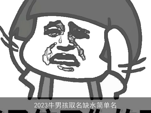 2023牛男孩取名缺水简单名