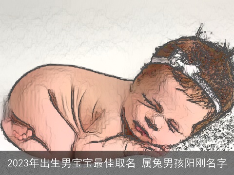 2023年出生男宝宝最佳取名 属兔男孩阳刚名字