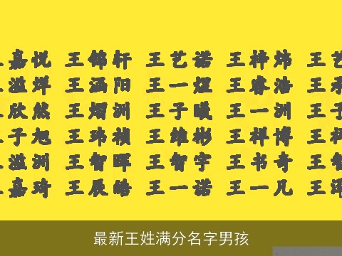 最新王姓满分名字男孩