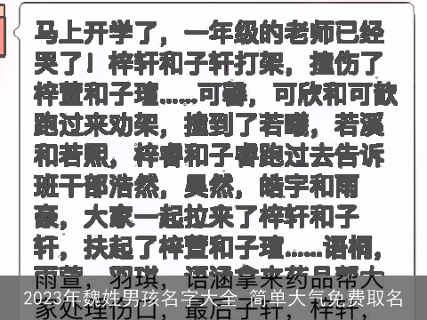 2023年魏姓男孩名字大全 简单大气免费取名