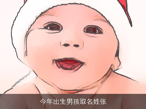 今年出生男孩取名姓张