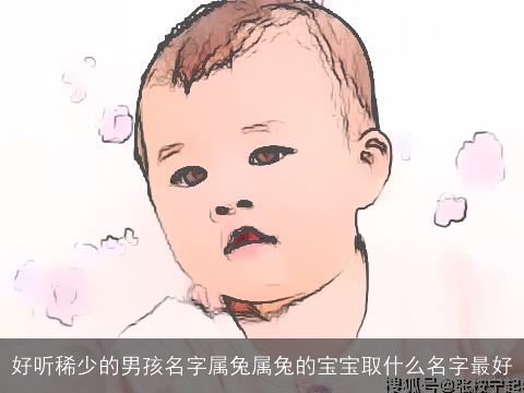 好听稀少的男孩名字属兔属兔的宝宝取什么名字最好