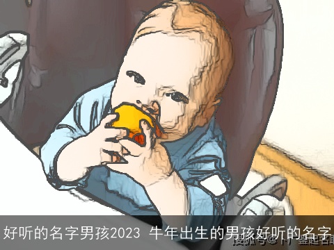好听的名字男孩2023 龙年出生的男孩好听的名字
