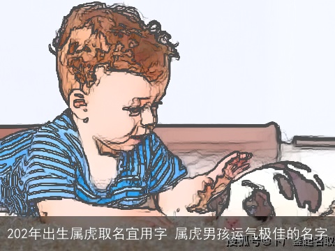 202年出生属虎取名宜用字 属虎男孩运气极佳的名字