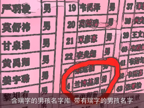 含瑞字的男孩名字库 带有瑞字的男孩名字