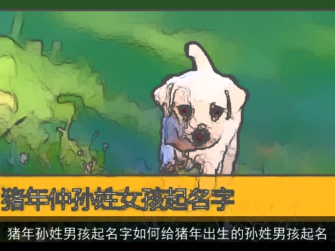 猪年孙姓男孩起名字如何给猪年出生的孙姓男孩起名