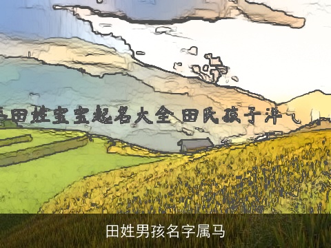 田姓男孩名字属龙